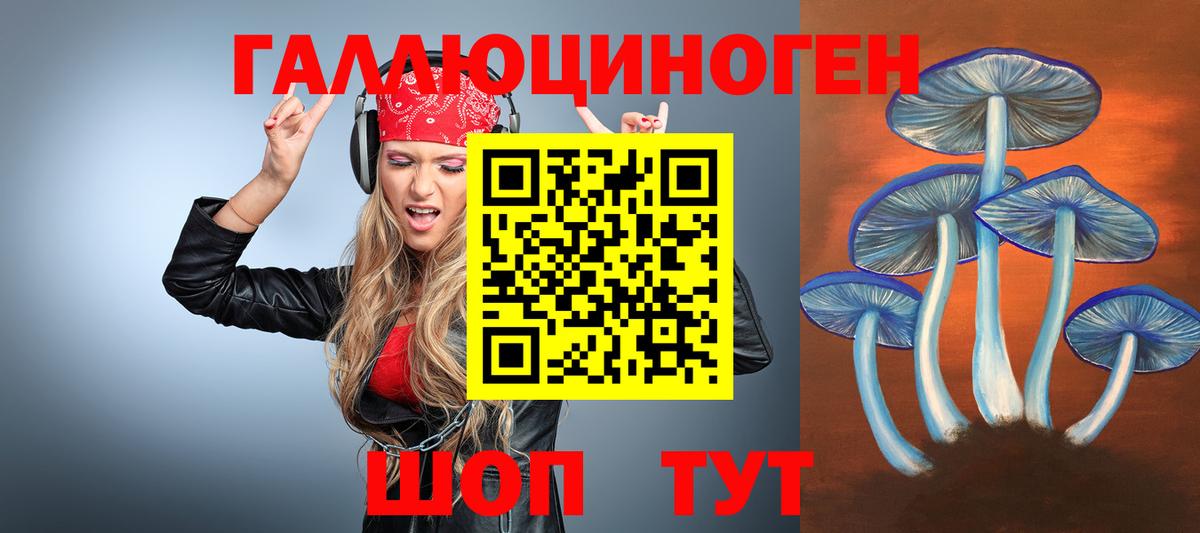 купить   Галлюциногенные грибы Psilocybine cubensis  Вход с VPN  Псилоцибиновые грибы Psilocybe  Мурино 