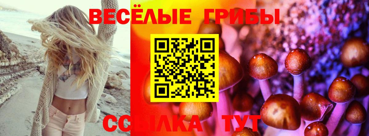 Псилоцибиновые грибы Psilocybine cubensis Мурино